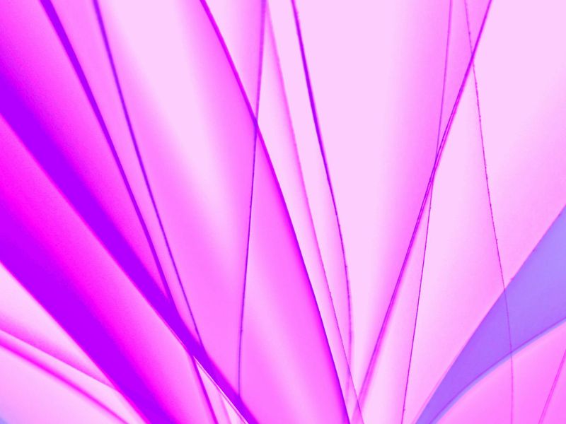 Soft pink and berry abstract geometric shapes flow together